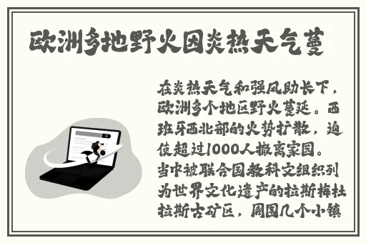 激情在线视频